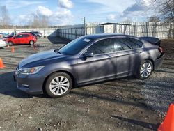 Salvage cars for sale at Arlington, WA auction: 2015 Honda Accord Touring