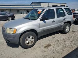 Salvage cars for sale at Earlington, KY auction: 2002 Ford Escape XLS