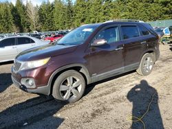 Salvage cars for sale at Graham, WA auction: 2012 KIA Sorento EX