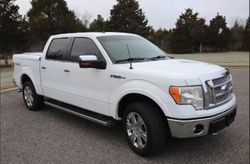 Salvage trucks for sale at Oklahoma City, OK auction: 2011 Ford F150 Supercrew