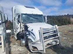 Salvage trucks for sale at Elmsdale, NS auction: 2023 Volvo VN VNL