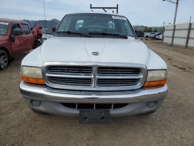 2001 Dodge Dakota Quattro