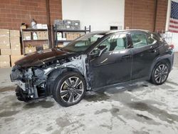 Salvage cars for sale at Sun Valley, CA auction: 2024 Lexus UX 250H Base