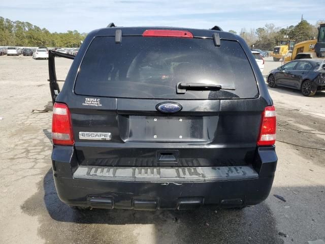 2010 Ford Escape XLT