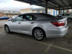 2010 Lexus LS 460