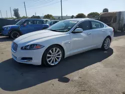 Salvage cars for sale at Miami, FL auction: 2014 Jaguar XF