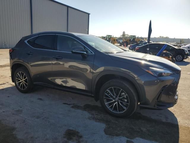 2024 Lexus NX 250 Base