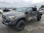 2019 Toyota Tacoma Double Cab