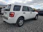 2011 Ford Escape XLS