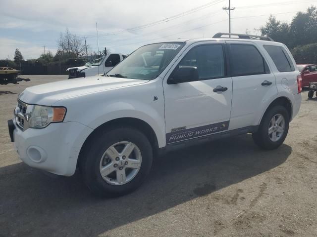 2008 Ford Escape HEV