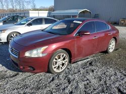 Nissan salvage cars for sale: 2013 Nissan Maxima S