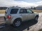 2011 Ford Escape Limited