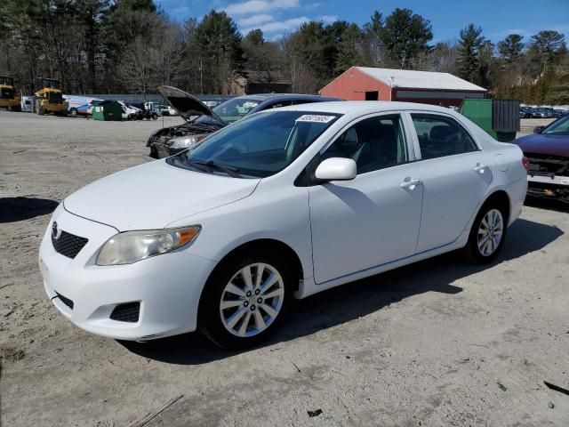 2010 Toyota Corolla Base