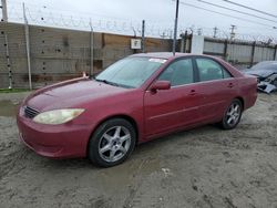 2005 Toyota Camry LE en venta en Los Angeles, CA