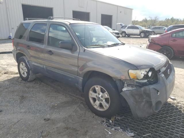 2005 Ford Escape XLT