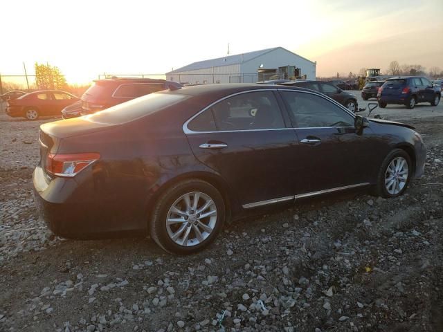 2011 Lexus ES 350