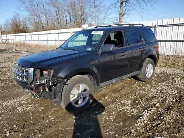 2011 Ford Escape XLT