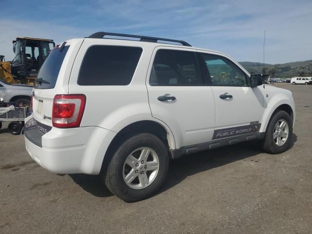 2008 Ford Escape HEV