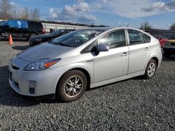 Salvage cars for sale at Arlington, WA auction: 2010 Toyota Prius