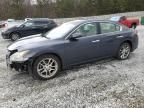 2010 Nissan Maxima S