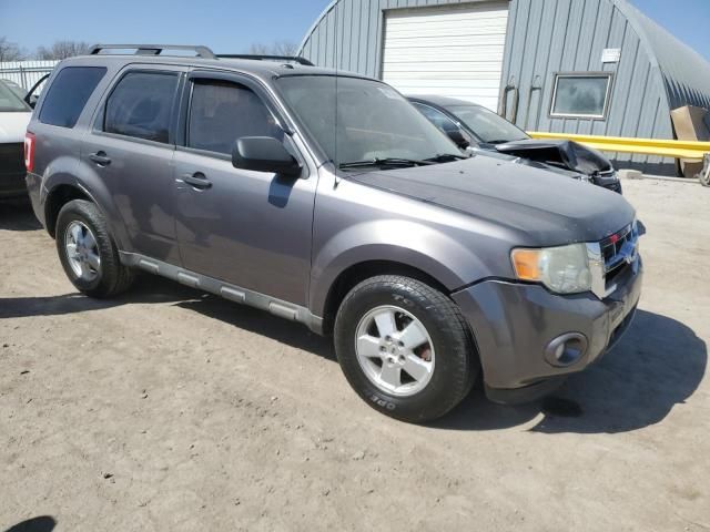 2010 Ford Escape XLT