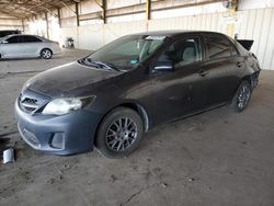 Salvage cars for sale at Phoenix, AZ auction: 2013 Toyota Corolla Base