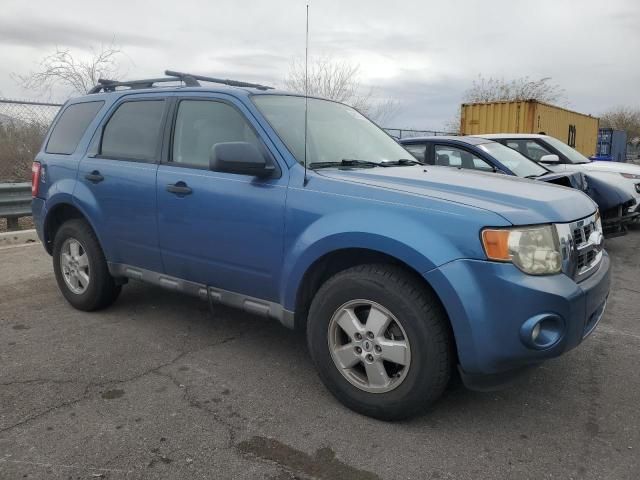 2009 Ford Escape XLT