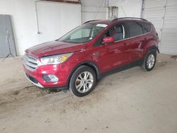 Salvage cars for sale at Lexington, KY auction: 2019 Ford Escape SEL