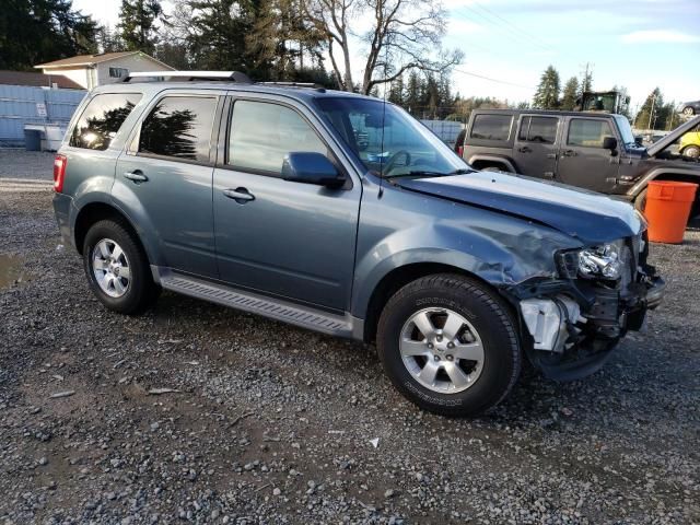 2011 Ford Escape Limited