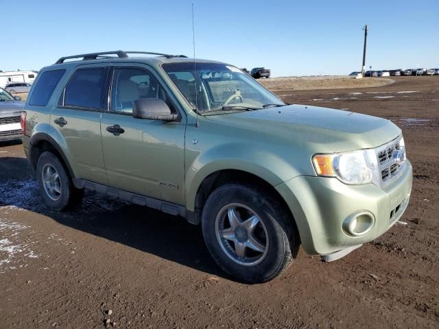 2008 Ford Escape XLT