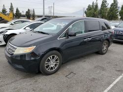 Honda Odyssey exl salvage cars for sale: 2011 Honda Odyssey EXL