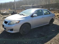 Salvage cars for sale at Baltimore, MD auction: 2010 Toyota Corolla Base