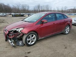 Salvage cars for sale at Marlboro, NY auction: 2013 Ford Focus SE