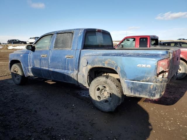 2011 Dodge Dakota SLT