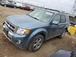 Salvage cars for sale at Elgin, IL auction: 2012 Ford Escape Limited