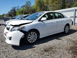 Salvage cars for sale at Riverview, FL auction: 2009 Toyota Corolla Base