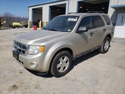 Salvage cars for sale at Chambersburg, PA auction: 2011 Ford Escape XLT