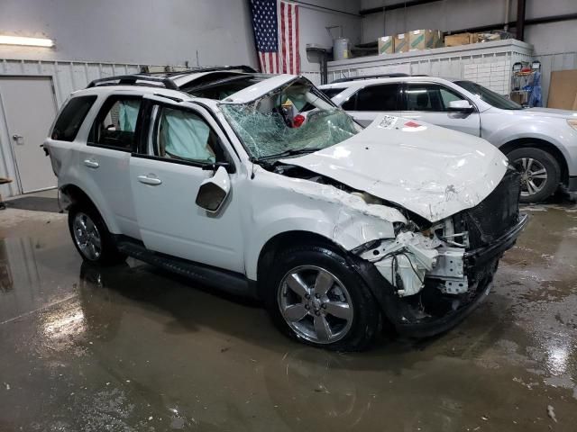 2011 Ford Escape Limited