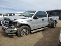 Salvage cars for sale at Brighton, CO auction: 2013 Ford F150 Super Cab