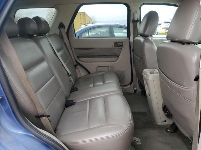 2009 Ford Escape XLT