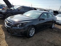 Salvage cars for sale at Elgin, IL auction: 2013 Chevrolet Malibu LS