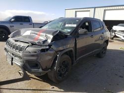 Salvage cars for sale at Albuquerque, NM auction: 2023 Jeep Compass Trailhawk