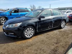 Honda salvage cars for sale: 2013 Honda Accord EXL