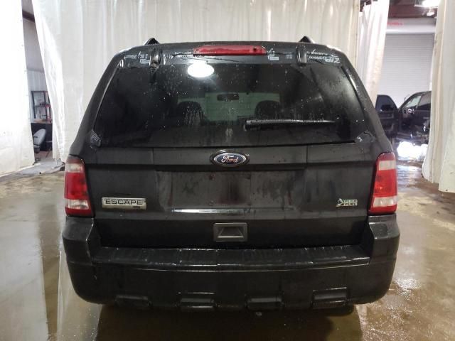 2010 Ford Escape XLT