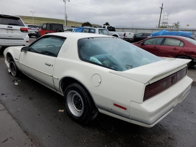 1984 Pontiac Firebird