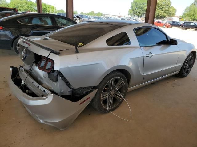 2013 Ford Mustang