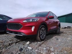 Salvage cars for sale from Copart Montreal Est, QC: 2020 Ford Escape SEL