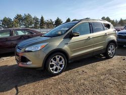 Salvage cars for sale at Elgin, IL auction: 2013 Ford Escape SEL