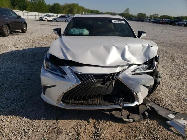 2019 Lexus ES 350