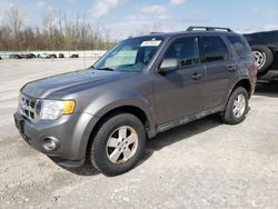 Salvage cars for sale at Leroy, NY auction: 2012 Ford Escape XLT